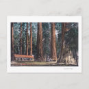 Search for mariposa postcards Grove