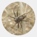 Search for creepy crawly stickers Spiders