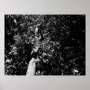Search for plane tree posters Leaves