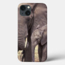 Search for herbivore cases Environment