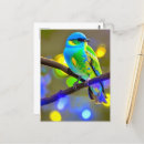 Search for fantasy birds postcards Ai generated