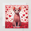 Search for cat valentines day cards Funny valentine's day