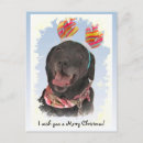 Search for black labrador retriever postcards Canine