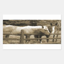 Search for ranch life stickers Horse
