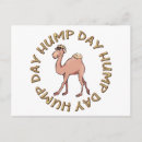 Search for funny hump day postcards Camel