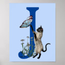 Search for siamese cats posters Kitten