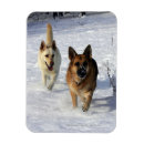 Search for pam cards Snow