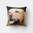 Search for labrador cushions Golden lab