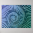 Search for ammonite art Green
