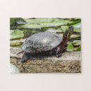 Search for wildlife photography puzzles Green