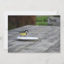Search for greeting 5x7 invitations Fun