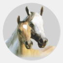 Search for equine stickers Foal