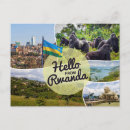 Search for rwanda postcards Gorilla