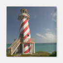 Search for bahamas magnets Tropical