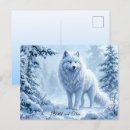 Search for predator postcards Wild animal