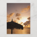 Search for aruba postcards Tropical climate