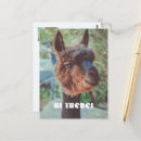 Search for animal quotes postcards For kids