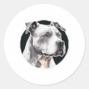 Search for wolf face round stickers Puppy