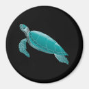 Search for animated magnets Animal