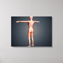Search for female body canvas prints Human representation