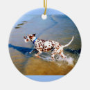 Search for dalmatian christmas tree decorations Xmas