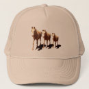 Search for trio hats Animal