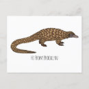 Search for pangolin postcards Africa