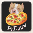 Search for pit bull coasters Dog