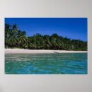 Search for rafting posters Travel