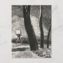 Search for odilon postcards French