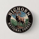 Search for bighorn badges Hiking