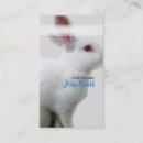 Search for rabbits business cards White rabbit