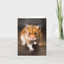 Search for syrian cards Pet