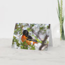 Search for oriole cards Nature