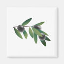 Search for branches magnets Greenery