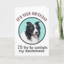 Search for funny border collie cards Humour