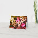 Search for african note cards Nature
