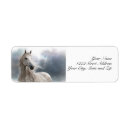 Search for manes Equine