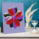 Search for vector plaques Black