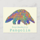 Search for species postcards Pangolin