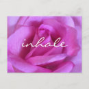 Search for bold pink postcards Flower