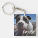 Search for four cats key rings Dog