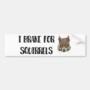 Search for vehicle bumper stickers Animal
