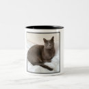 Search for russian cat mugs Breed