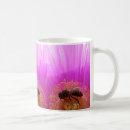 Search for pollen mugs Insect