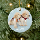 Search for golden retrievers christmas decor Golden retriever puppy