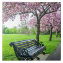 Search for cherry blossom tiles Pink
