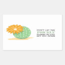 Search for cactus quotes crafts party Succulent