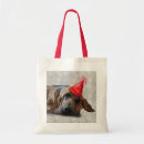 Search for bloodhound accessories Antique