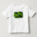 Search for dewdrops tshirts Nobody